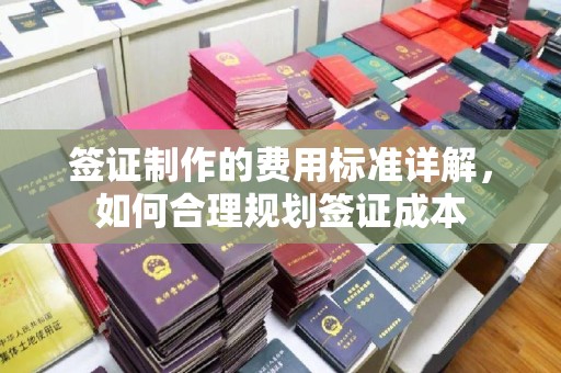 杜集签证制作的费用标准详解，如何合理规划签证成本